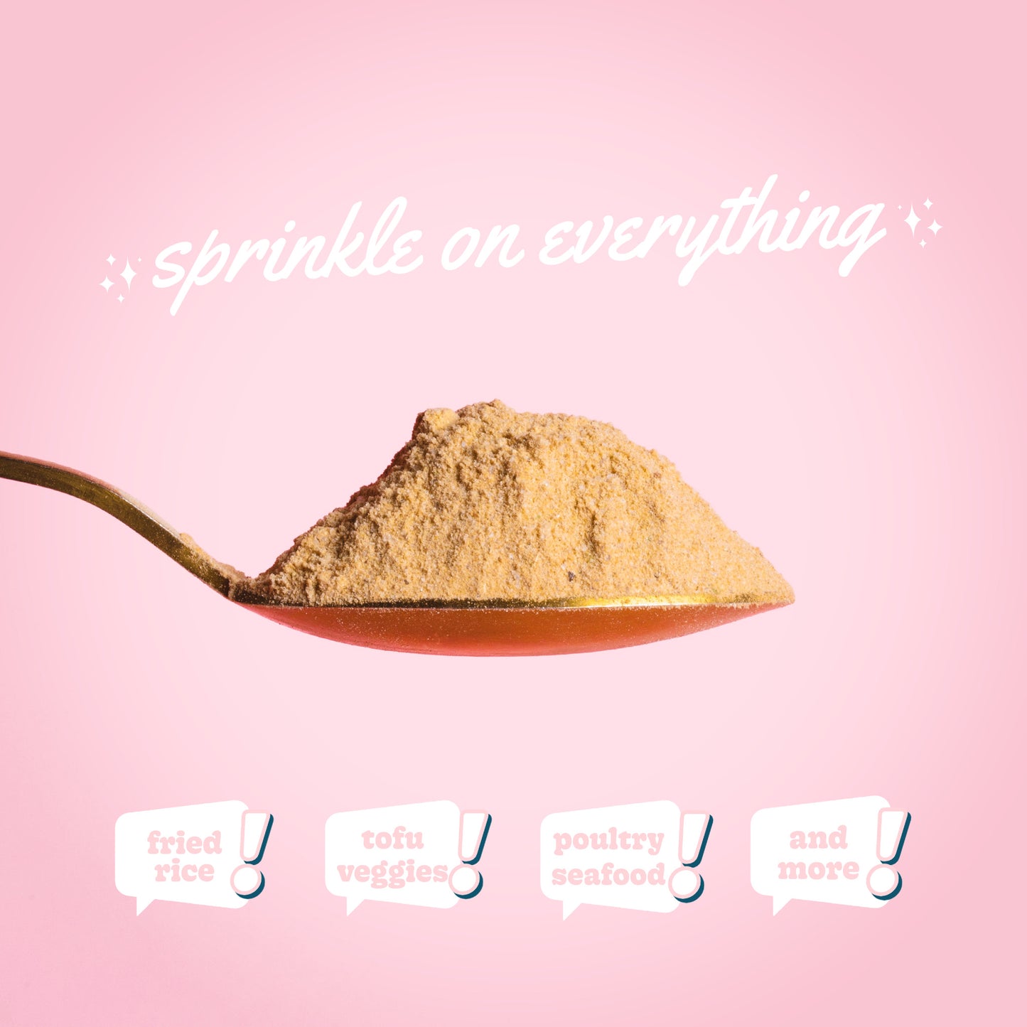 Chicken Instant Ramen Seasoning